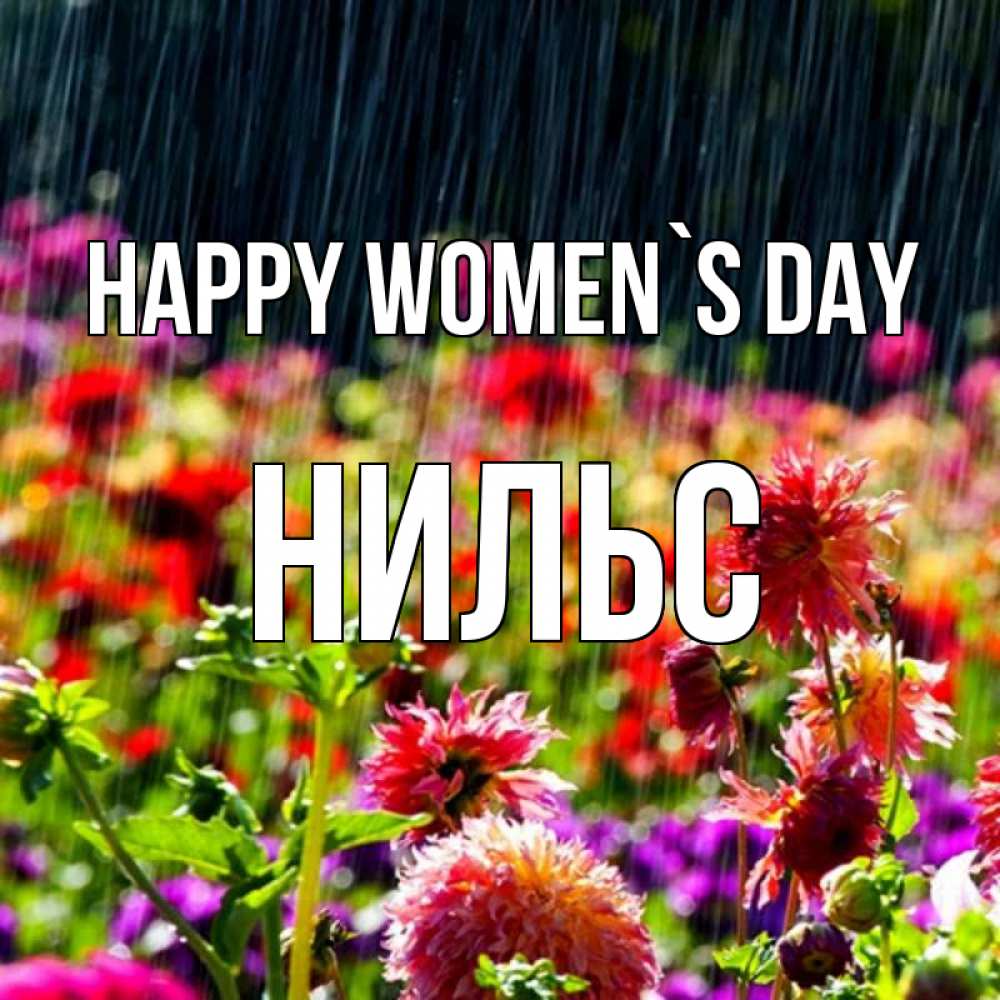 Greetings card с именем, Нильс happy women`s day цветы под дождиком к международному женскому дню Greetings with text for free download 